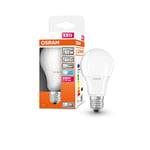 OSRAM Star+ lampe LED à basse tension, E27-base, optique mate ,Blanc froid (4000K), 940 Lumen, Remplacement de la traditionnelle 65W-Ampoules 1-Pack