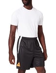 PUMA FUBALL Park Shorts, Homme, Puma Noir, L