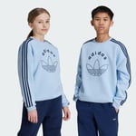 adidas Graphic Crew Sweatshirt Kids