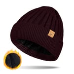 NEOLA Beanie Hat Mens - Winter Thermal Hats with Fleece Lined Skullies & Beanies Warm Soft Stretchable Knitted Cuffed Skull Caps Hats for Men Outdoor UK