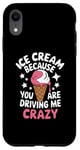 iPhone XR Ice Cream Because You Are Driving Me Crazy Case