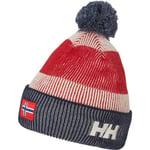 Helly Hansen World Cup Beanie 2.0 Barn