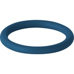 10 st 22mm Geberit O-ring FPM, blå