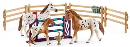 SCHLEICH - Figurines et accessoires de l'univers HORSE CLUB - Kit L’entraînem...