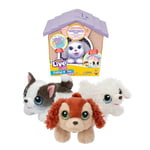 Little Live Pets- Jouet, LPP01210, Rose