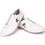 JINFAN Tai Chi Shoes For Women,men Unisex Martial Arts Shoes,embroidered Leather Chinese Kung Fu Tai Chi Wu Shu Taekwondo Boxing Shoes Morning Exercise Shoes,White-43