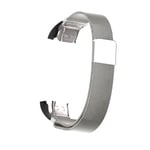 Quick Loop Band Replacement Watch Strap Magnetic Silver