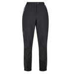 Regatta Womens/Ladies Mountain III Walking Trousers (Ash/Black) - Size 20 UK