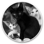 2 x Vinyl Stickers 30cm (bw) - Cute Kittens Black Tabby Ginger Cat  #43908