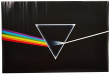 Pink Floyd (Dark Side of the Moon 61 x 91.5 cm Maxi Poster