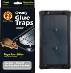 Piège À Souris Pièges À Rats,15 Boîtes Contenant 2 Plaques De Glue Collantes Par Boites,Soit 30 Plaques Au Total. Anti Rat,Colle Plus Épaisse,Taux De Capture Plus Élevée.[W156]