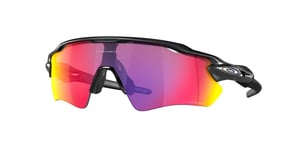 Oakley Radar EV Path Briller Scenic Grey/Prizm Road