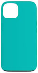 Coque pour iPhone 13 Elegant Aqua Bleu clair