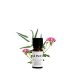 Doftolja Eterisk | Tea Tree &amp Geranium 10ml | Klinta