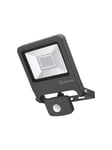 LEDVANCE ENDURA® FLOOD Sensor Warm White 30 W 3000 K DG