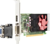 HP NVIDIA GT 730 GeForce GT 730 2 GB GDDR3