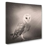 Light Upon the Barn Owl Modern Canvas Wall Art Print Ready to Hang, Framed Picture for Living Room Bedroom Home Office Décor, 20x20 Inch (50x50 cm)