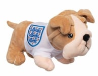 ENGLAND BULLDOG WORLDCUP 2024 FOOTBALL OFFICIAL MERCHANDISE FATHERS DAY GIFT