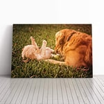 Big Box Art Canvas Print Wall Art Golden Retriever Dog and Puppy | Mounted and Stretched Box Frame Picture | Home Decor for Kitchen, Living Room, Bedroom, Hallway, Multi-Colour, 24x16 Inch