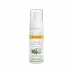 Facial Care Gentle Foaming Cleanser 4.8 Oz By Burts Bees