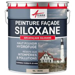 Peinture Facade Siloxane Hydrofuge - ARCAFACADE SILOXANE  Beige (Ral 080 80 10) - 10L (+ ou - 60m² en 1 couche)