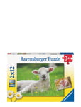 Farm Animals 2X12P Toys Puzzles And Games Puzzles Classic Puzzles Multi/patterned Ravensburger