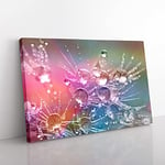 Big Box Art Flower Drops of Water on Dandelion Seeds Canvas Wall Art Print Ready to Hang Picture, 76 x 50 cm (30 x 20 Inch), Multi-Coloured