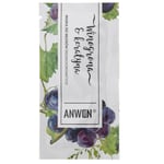 Anwen Grapes and Keratin Mask for medium-coarse hair in a sachet, 10ml