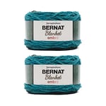 Bernat Lot de 2 pelotes de fil chenille épais de 300 g - Polyester - 6 super volumineux - 200 m - Pour tricot, crochet et loisirs créatifs