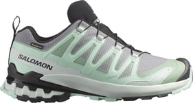 Salomon Women's XA Pro 3D V9 GORE-TEX Basic Grey, 39 1/3