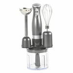 SALTER 3 IN 1 SILVER 350W SOUP BLENDER FOOD PROCESSOR HAND MIXING WHISK CHOPPER