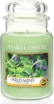 YANKEE Candle Large Jar WILD MINT 623 g SINGLE WICK BURN TIME 110 - 150 Hrs NEW