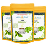 Lotustoday Guava Leaf Tea 63 Tea Bags Detox weight Loss Diabetic Diet Herbal tea