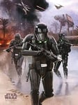 Pyramid International "Death Trooper Beach Star Wars Rogue One Canvas Print, Multi-Colour, 60 x 80 cm