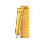 Teinture permanente Igora Royal Absolutes Schwarzkopf 6-50 [60 ml]