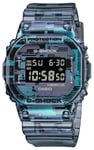 Casio Limited Edition DW-5600NN-1ER