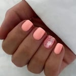 Short Ballerina False Nails French Nail Tips Fashion Press on Nails  DIY