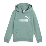 Essential No. 1 Logo Hoodie TR PS, hettegenser, barn