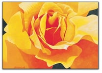 Artopweb Christian - Honeymoon (Yellow Rose) (Panneaux MDF 100x70 cm)