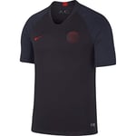 Nike PSG M NK BRT Strk T-Shirt Homme T-Shirt Homme Oil Grey/Oil Grey/University R FR : S (Taille Fabricant : S)