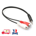 Câble adaptateur Audio jack 3,5 mm Stéréo mâle vers 2x RCA Femelles noir 30cm