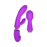 Loving Joy DUA Interchangeable Vibrator With 2 Attachments