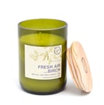 Paddywax Eco Green Bougie parfumée 226 g en verre recyclé Parfum : Paddywax Fresh Air & Bouleau