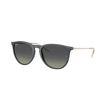 Ray-Ban Erika - RB4171 681311 5418