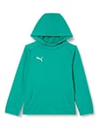 Puma Kid's LIGA Casuals Hoody Jr Pullover, Pepper Green White, 140