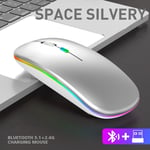 Mute 2 4g Bluetooth mode light emitting edition silver Souris sans fil aste RVB, souris d'ordinateur, rétroéclairage LED, ergonomique, jeu, ordinateur portable, PC ""Nipseyteko