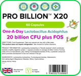 Pro Billion X20, 20bn (60 Capsules) CFU Strength Probiotic Supplement LINDENS UK