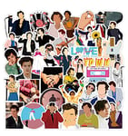 Harry Edward Styles One Direction 1D 50 Vinyl Stickers Decals For Laptops, Phones, Phone Case, Consoles, Walls, Luggage Case, Books, Bottle - 50 Stickers (1 each design) Set 3