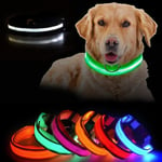 LED Hundhalsband Uppladdningsbar / Reflex & Halsband för Hund Green XL - Grön