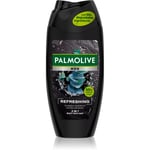 Palmolive Men Refreshing Kropsvask til mænd 2-i-1 til mænd 250 ml